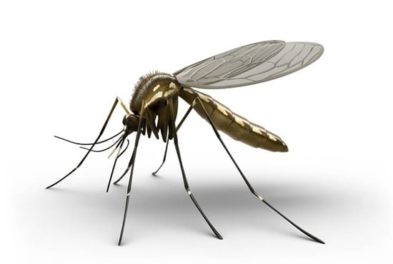 Mosquito control service dubai