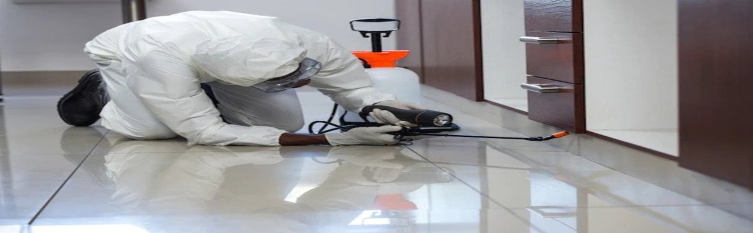 Pest control in UAE