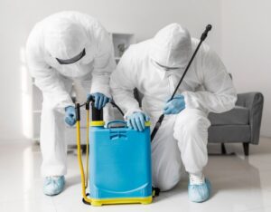 pest control services