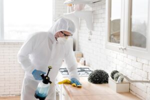 home pest control