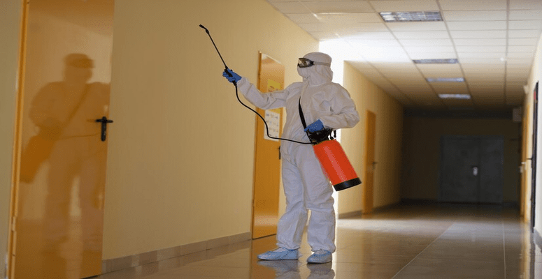 Pest control in UAE