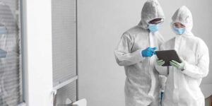 pest control services