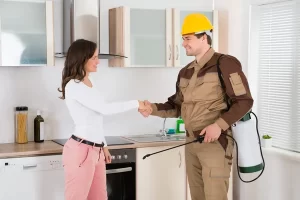 pest control services in dubai