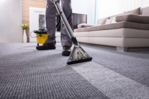pest control services