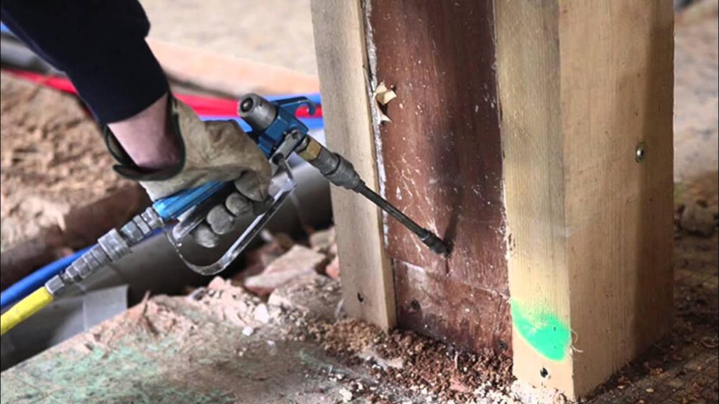 Termite Control Services - Good Life Pest Control