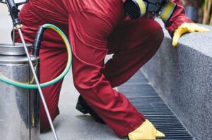pesticide control service