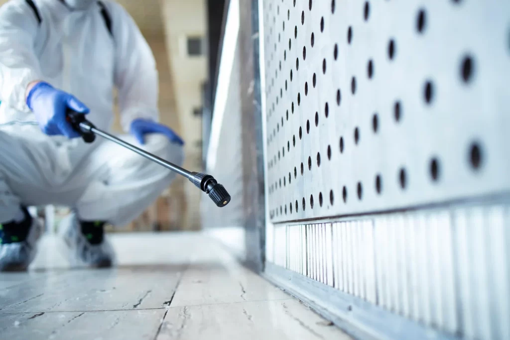 Professional technician performing pest control services in UAE by Good Life Pest Control UAE, spraying treatment along wall edges to eliminate insects.