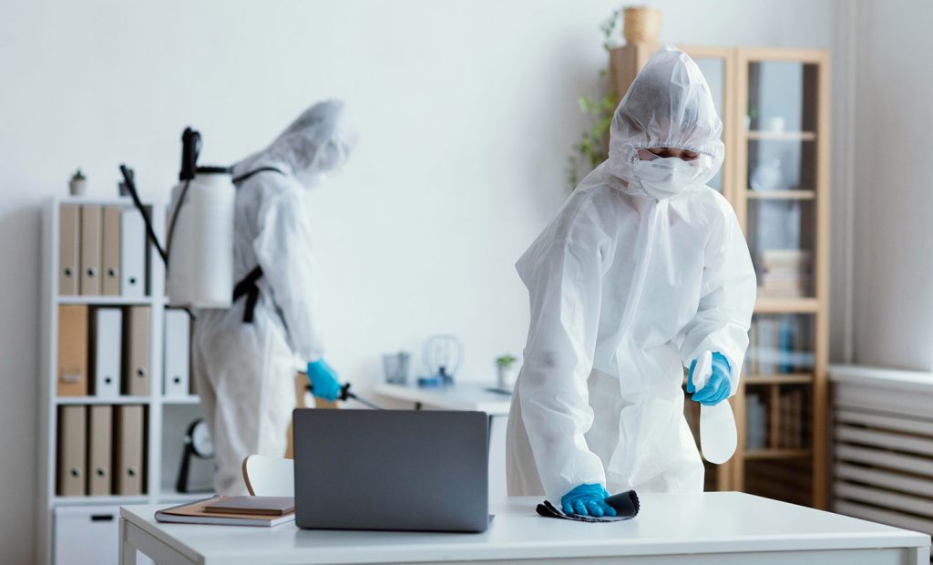 Professional pest control service in UAE for effective pest treatment